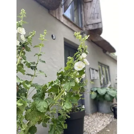 Holidays In Happiness Apartman Tetenbüll